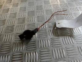 Foto ricambio auto