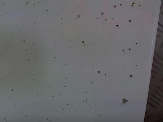 Foto del ricambio