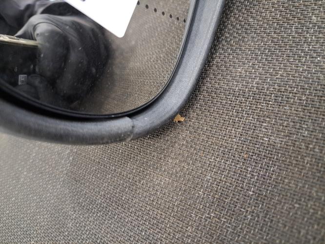 Image Retroviseur gauche - RENAULT CLIO 2
