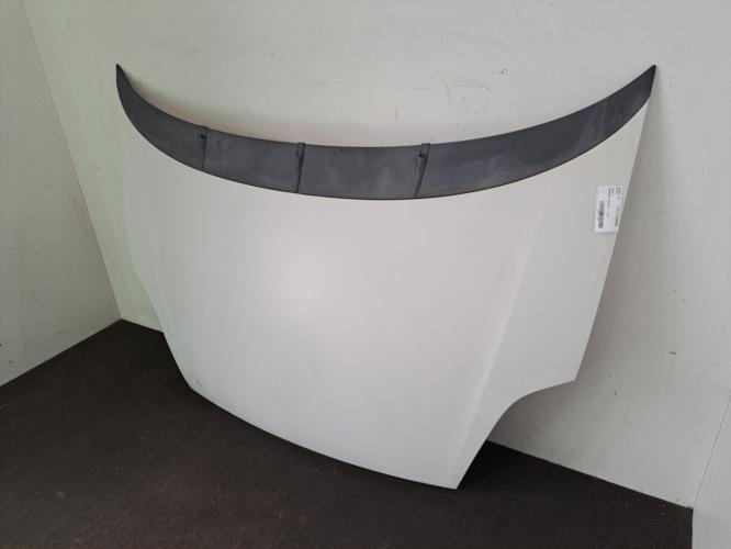 Image Capot - FIAT GRANDE PUNTO