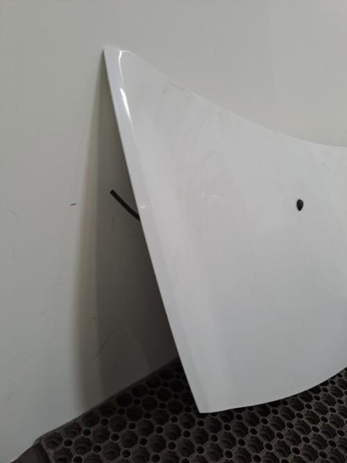 Image Capot - RENAULT CLIO 3