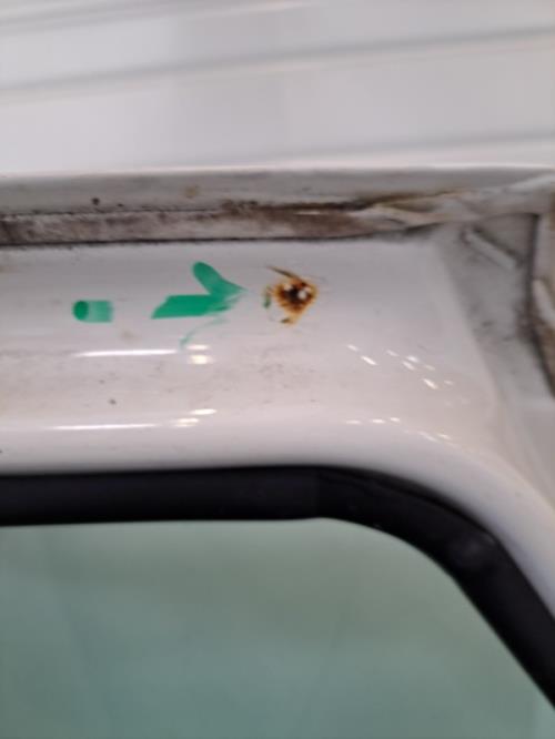Image Porte arriere droit - SAAB 900 2