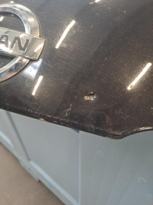 Image Capot - NISSAN MICRA 3