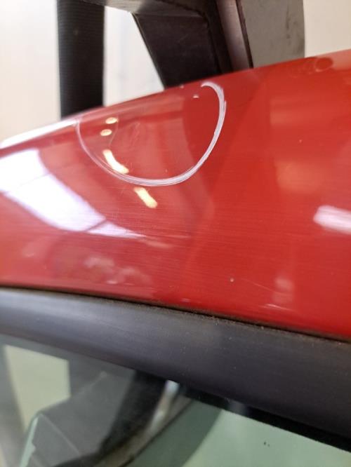 Image Porte avant gauche - RENAULT CLIO 3