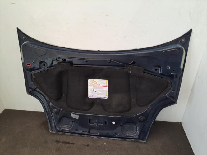 Image Capot - FIAT GRANDE PUNTO
