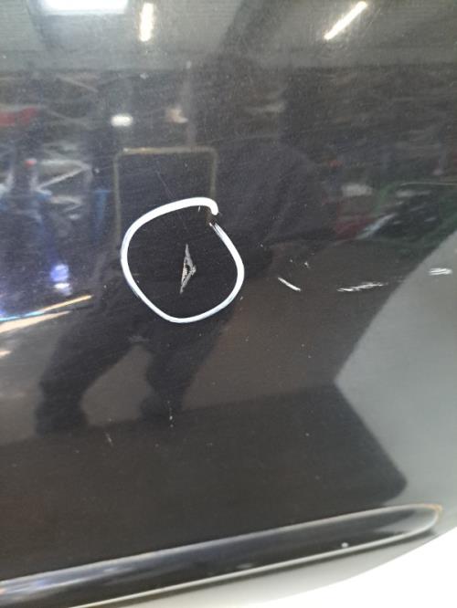 Image Porte arriere gauche - PEUGEOT 206