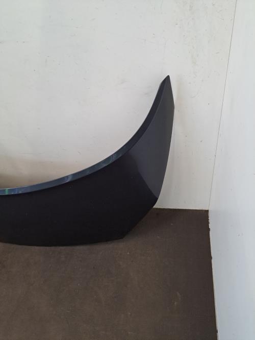 Image Capot - RENAULT SCENIC 2
