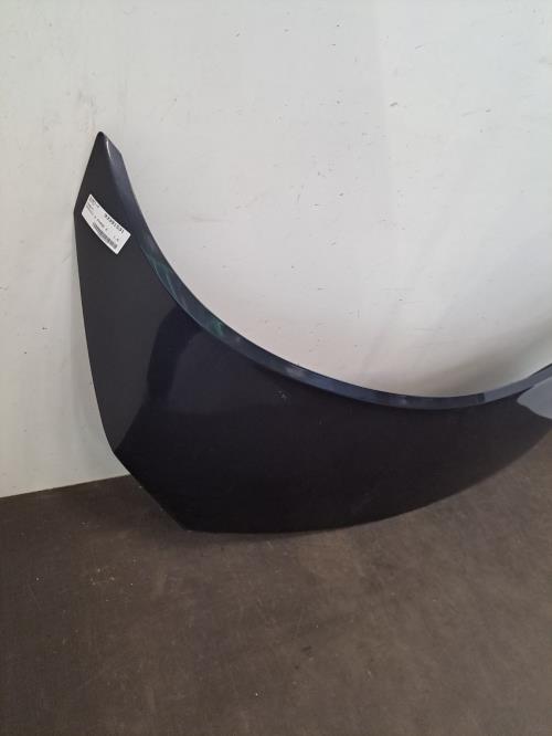 Image Capot - RENAULT SCENIC 2