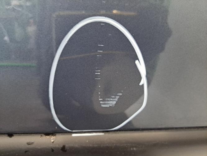 Image Porte avant gauche - RENAULT TWINGO 2