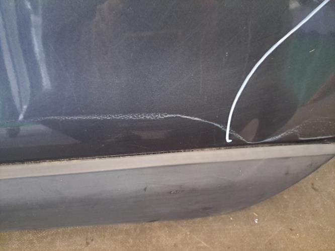 Image Porte arriere gauche - DACIA LODGY