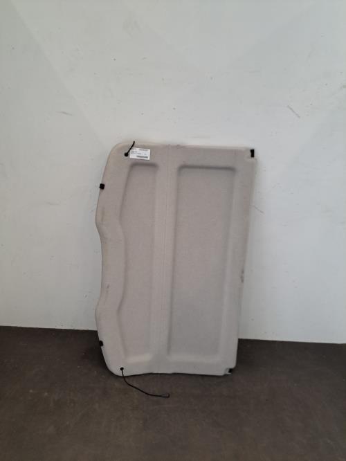 Image Plage arriere - RENAULT SCENIC 3