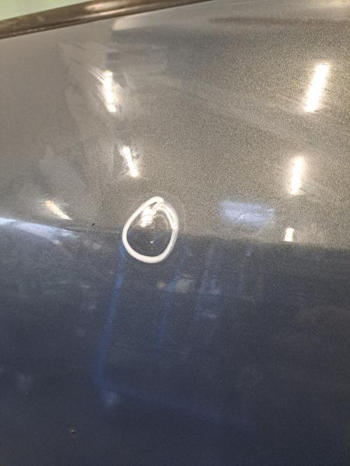 Image Porte avant droit - RENAULT SCENIC 2