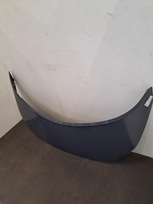 Image Capot - RENAULT SCENIC 2
