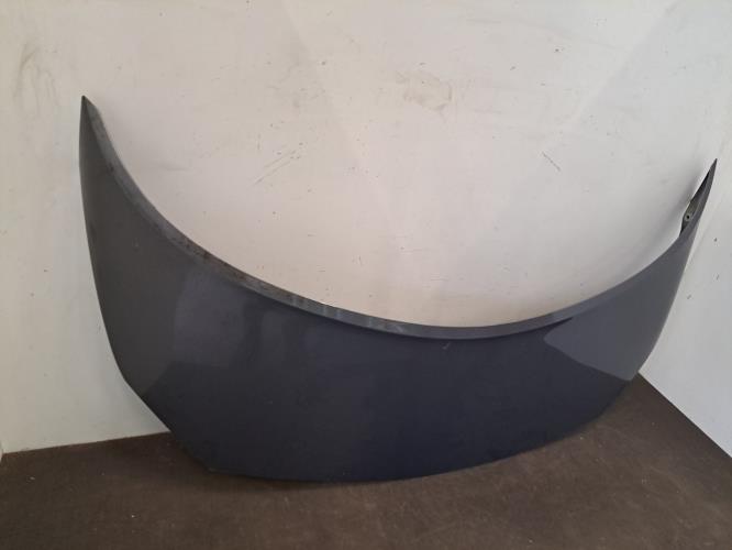 Image Capot - RENAULT SCENIC 2