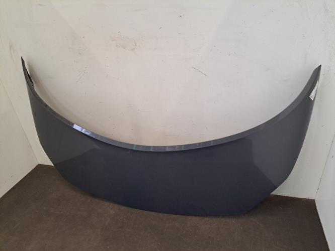Image Capot - RENAULT SCENIC 2