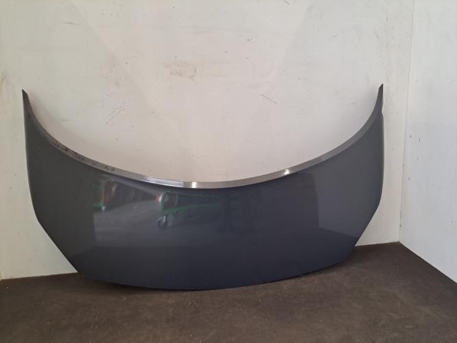 Image Capot - RENAULT SCENIC 2