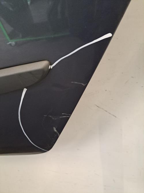Image Porte arriere gauche - RENAULT SCENIC 2