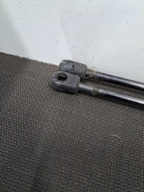 Image Verin de coffre - RENAULT SCENIC 2