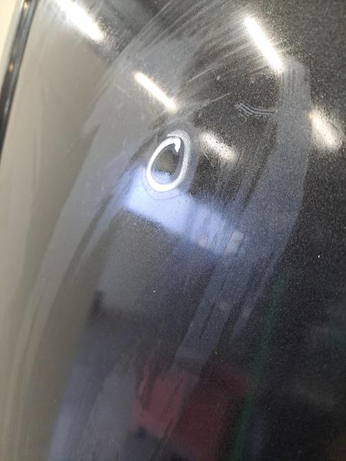 Image Porte arriere gauche - NISSAN PRIMASTAR 1
