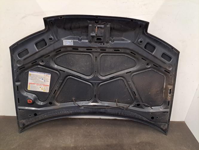 Image Capot - FIAT PUNTO 2