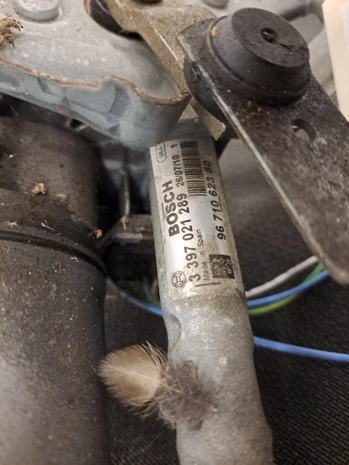 Image Moteur essuie glace avant gauche - PEUGEOT 5008 1
