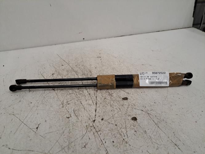 Image Verin de coffre - CITROEN C3 3