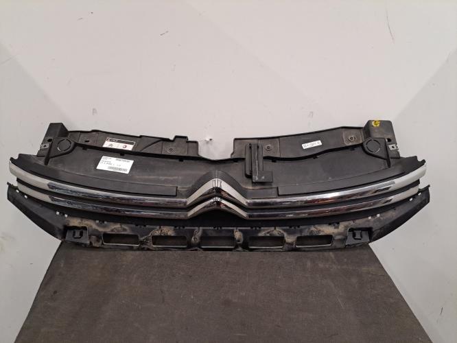 Image Calandre - CITROEN C3 3