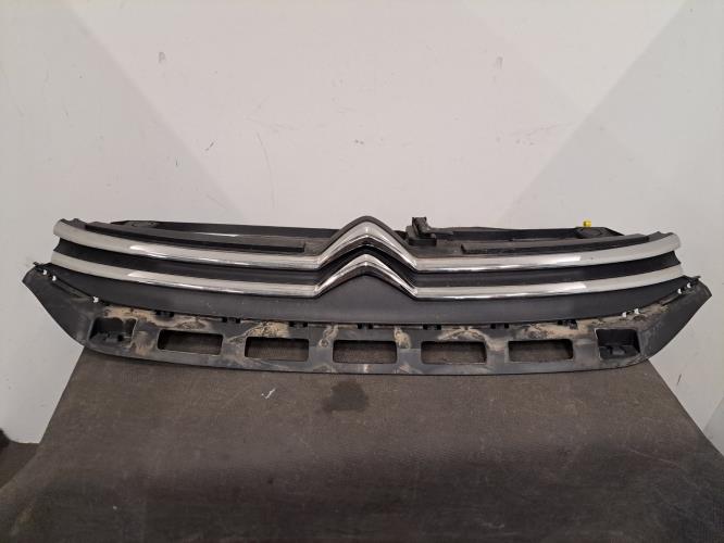 Image Calandre - CITROEN C3 3