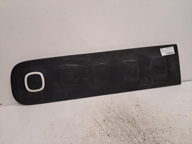 Image Baguette de porte avant gauche - CITROEN C3 3