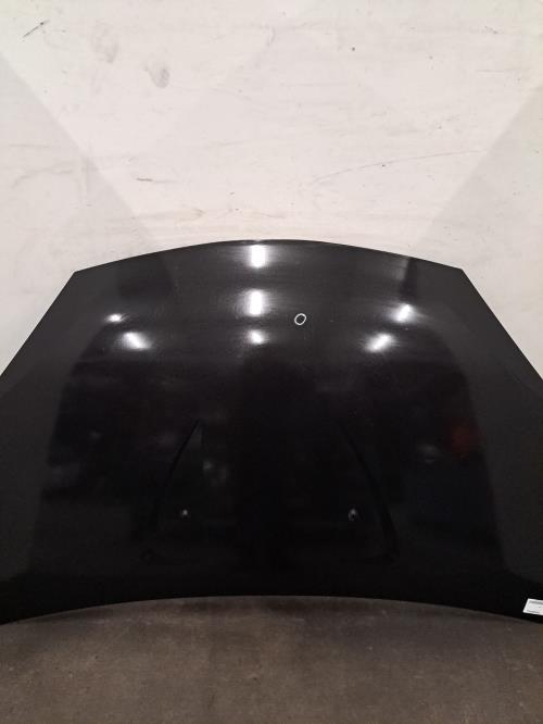 Image Capot - DACIA SANDERO 1