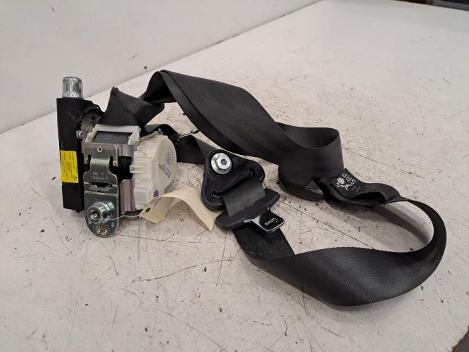 Image Ceinture avant droit - RENAULT WIND
