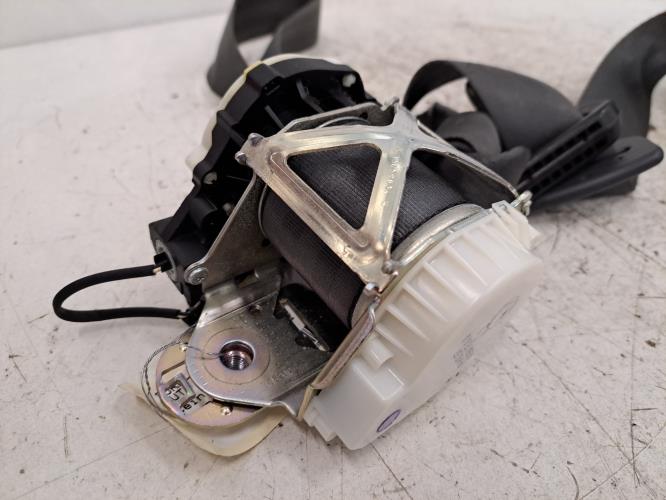 Image Ceinture avant gauche - RENAULT WIND