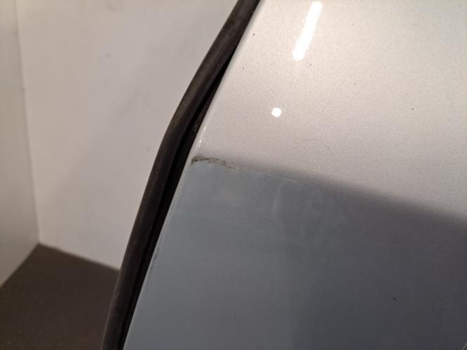 Image Porte avant gauche - RENAULT VEL SATIS