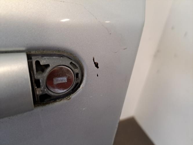 Image Porte avant gauche - RENAULT VEL SATIS
