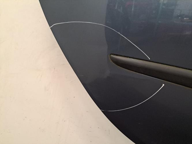 Image Porte arriere droit - RENAULT CLIO 3
