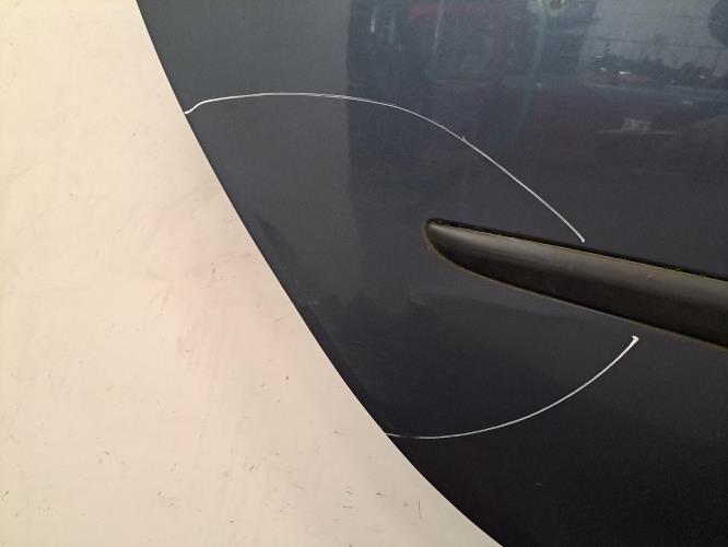 Image Porte arriere droit - RENAULT CLIO 3
