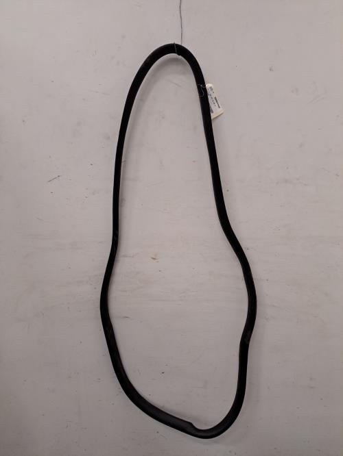 Image Joint de porte arriere gauche - DACIA SANDERO 3