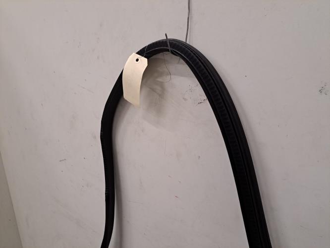 Image Joint de porte arriere gauche - RENAULT MEGANE 4