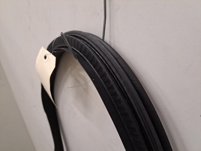 Image Joint de porte arriere gauche - RENAULT MEGANE 4