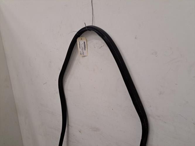 Image Joint de porte avant gauche - RENAULT MEGANE 4