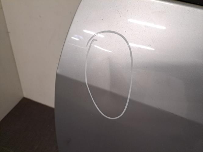 Image Porte avant gauche - RENAULT SCENIC 2