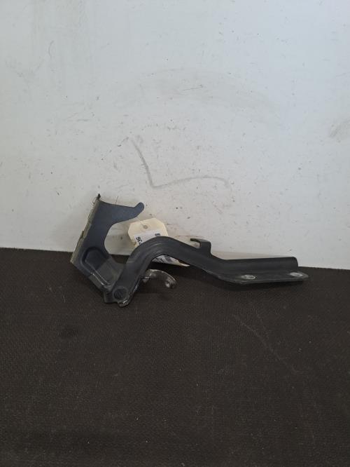 Image Charniere de capot - NISSAN JUKE 1