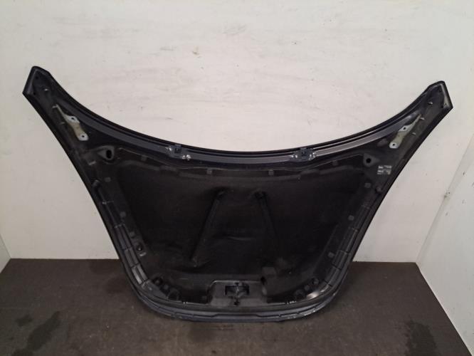 Image Capot - VOLKSWAGEN NEW BEETLE 1