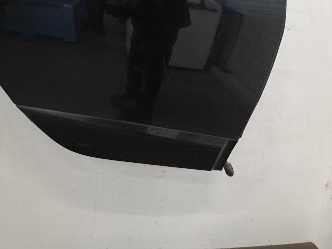 Image Porte arriere gauche - RENAULT SCENIC 3