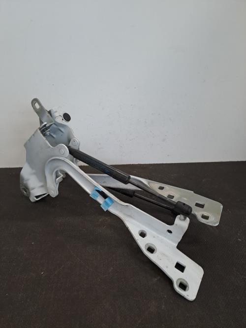 Image Charniere de capot - RENAULT SCENIC 3