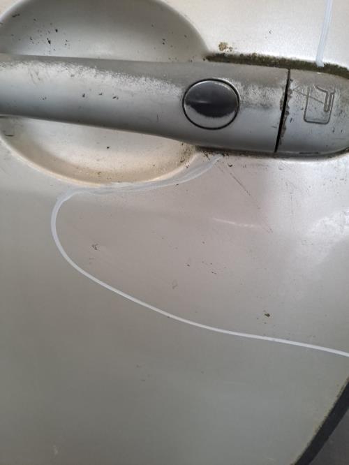Image Porte avant gauche - RENAULT MEGANE 2