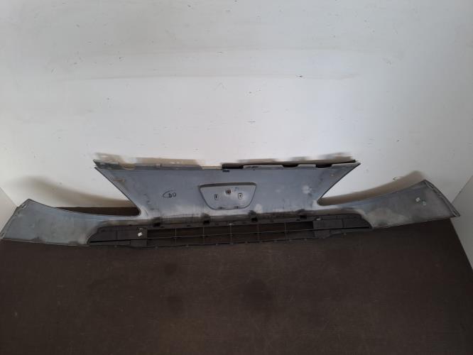 Image Calandre - PEUGEOT 1007