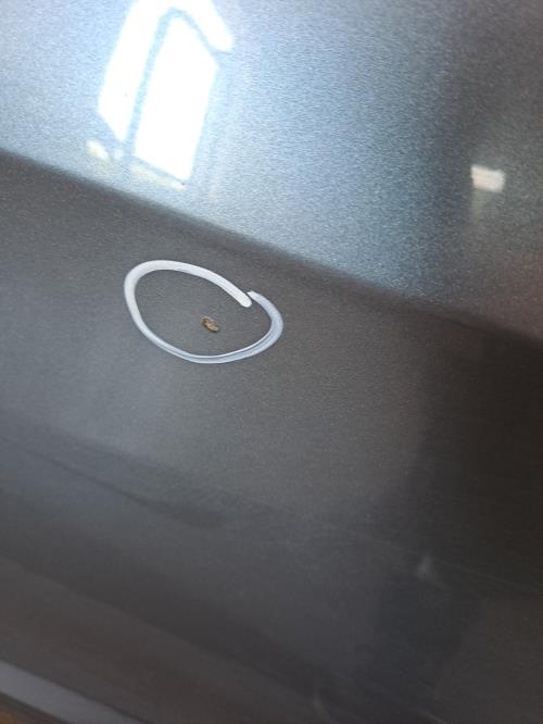 Image Porte arriere droit - PEUGEOT 308 1 SW