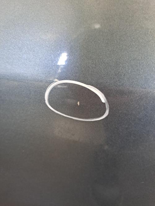 Image Porte avant gauche - PEUGEOT 307