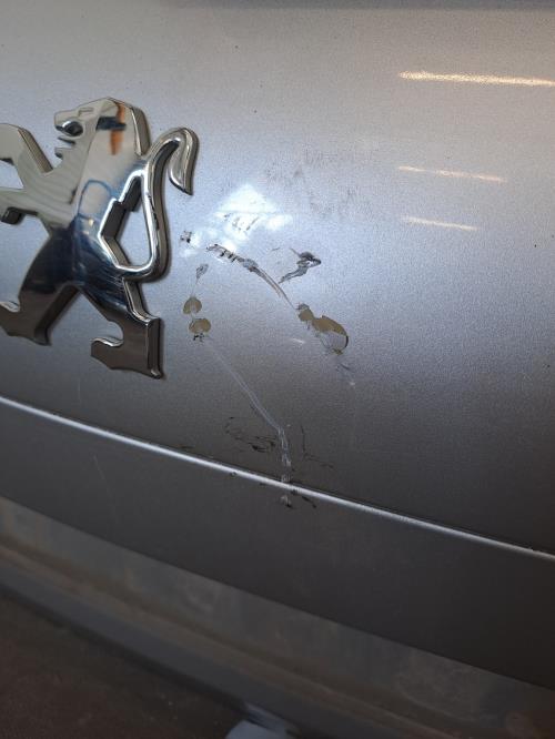 Image Malle/Hayon arriere - PEUGEOT 207